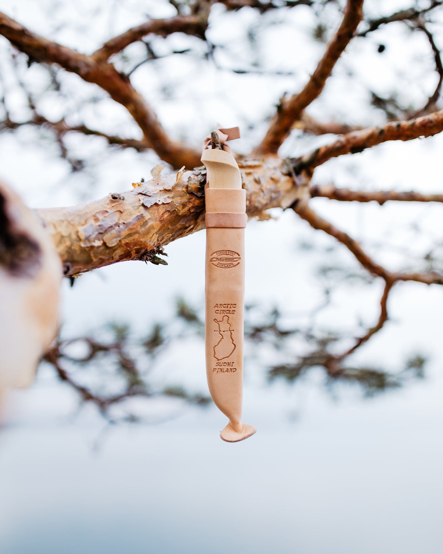 Arctic Circle Knife, Carbon Steel