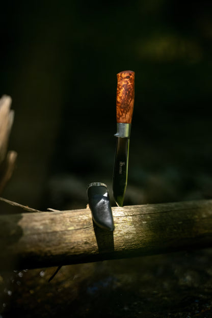 Brusletto Hunter