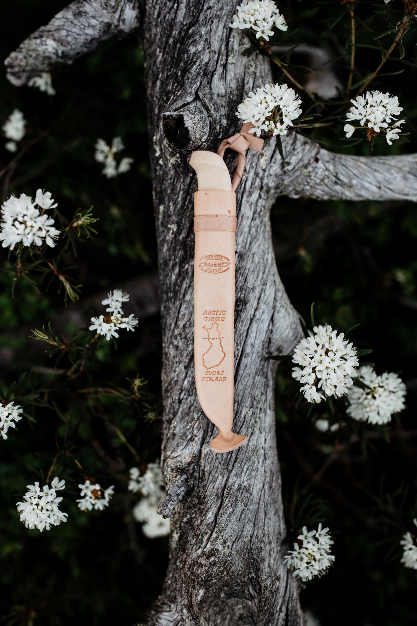 Arctic Circle Knife, Carbon Steel