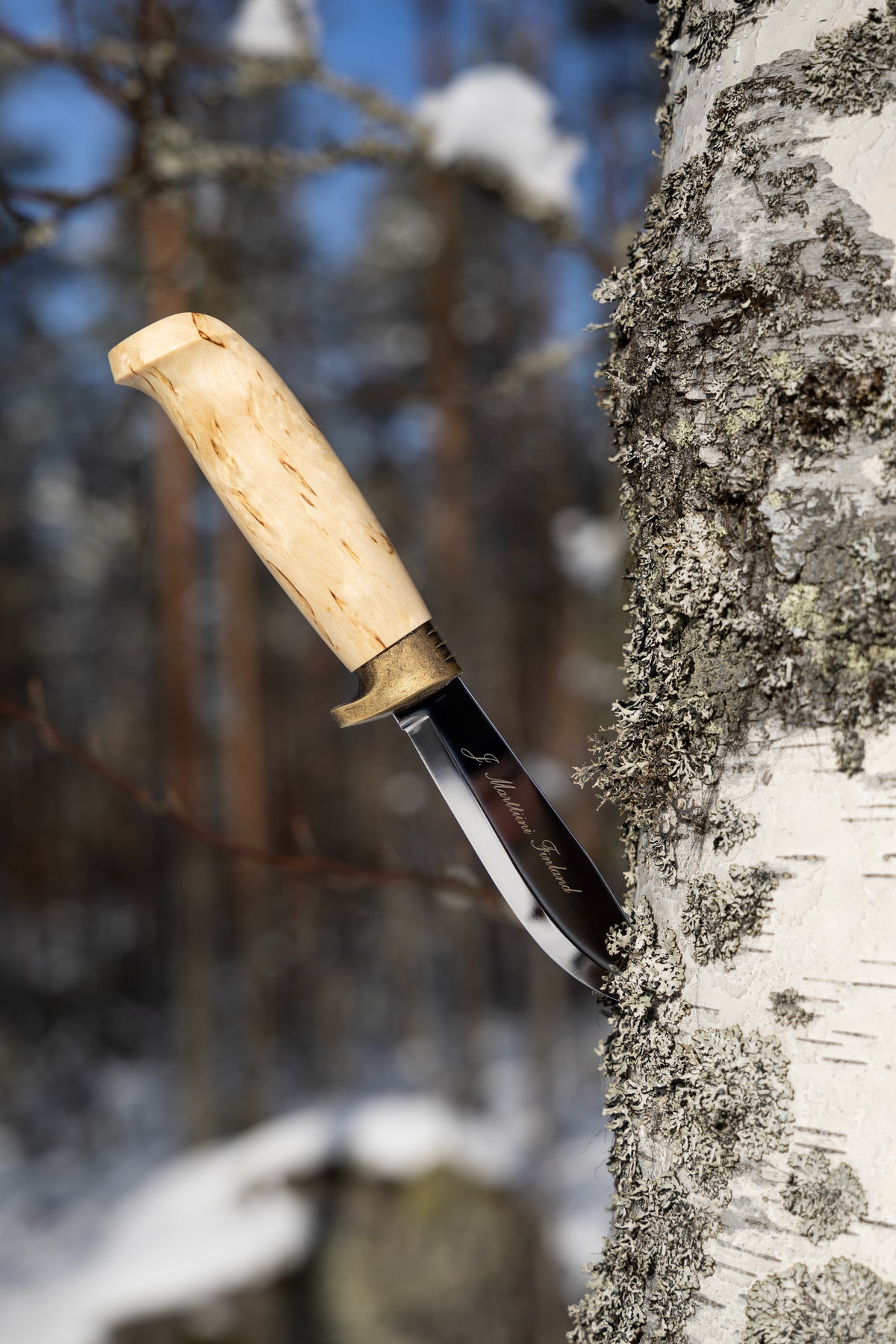 Deluxe Skinner