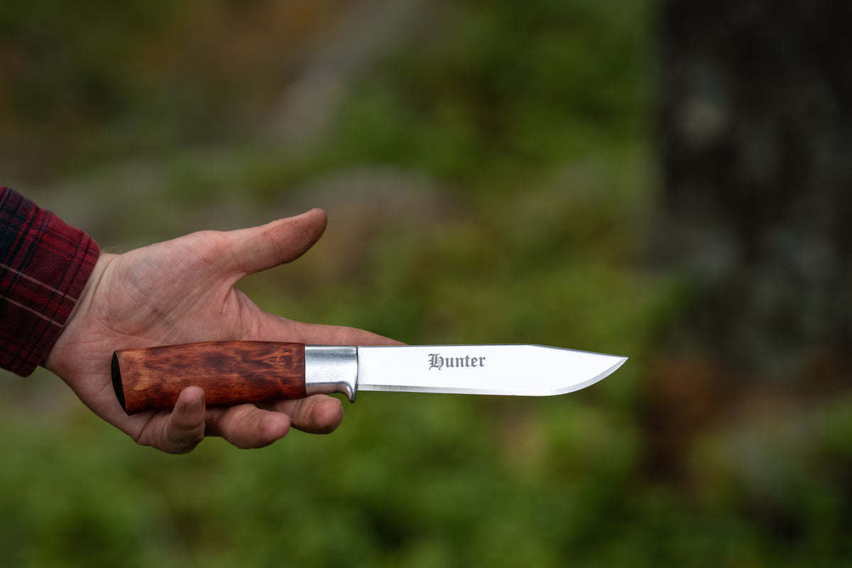 Brusletto Hunter