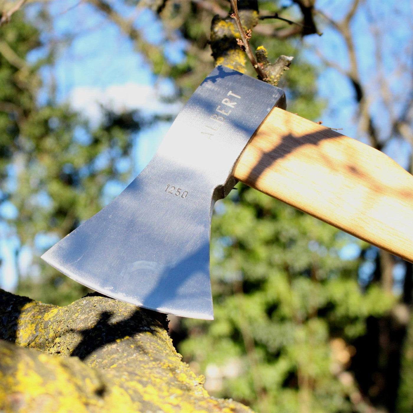 Axe "German type" 1000 Gr
