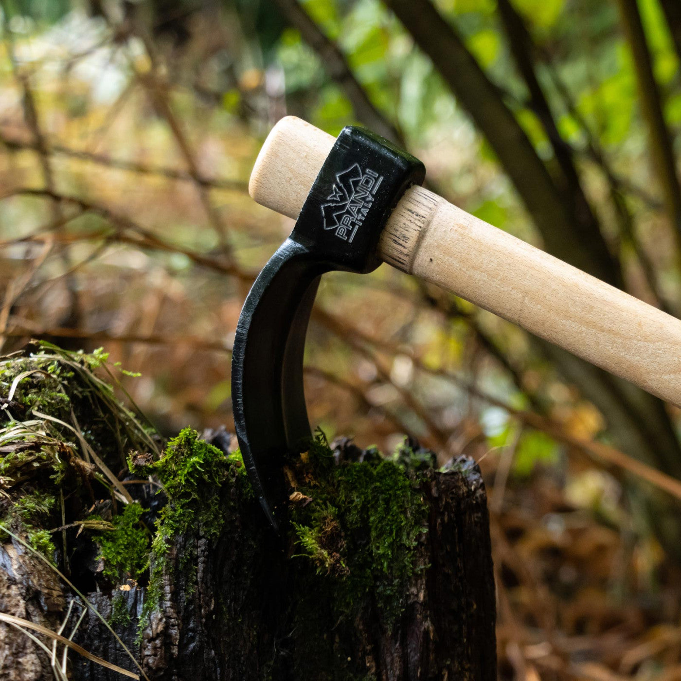 Copper's axe