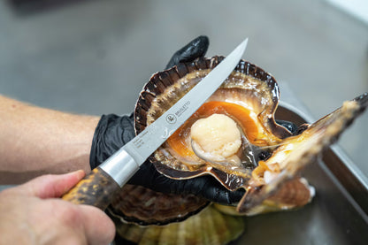 Brusletto Hunter Premium - Flexible Filleting Knife (16.7)