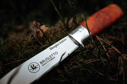 Brusletto Hunter