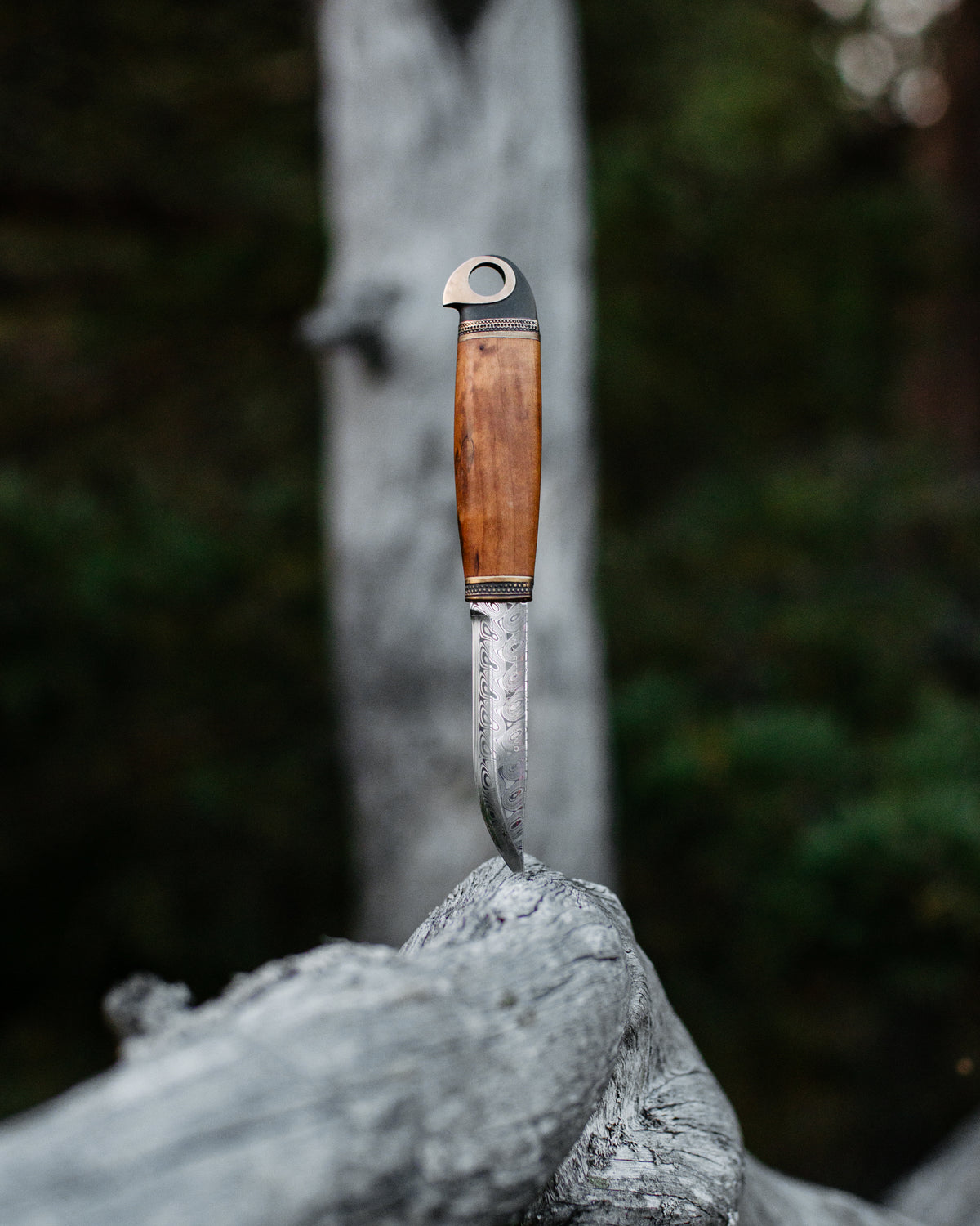 Eagle Damascus