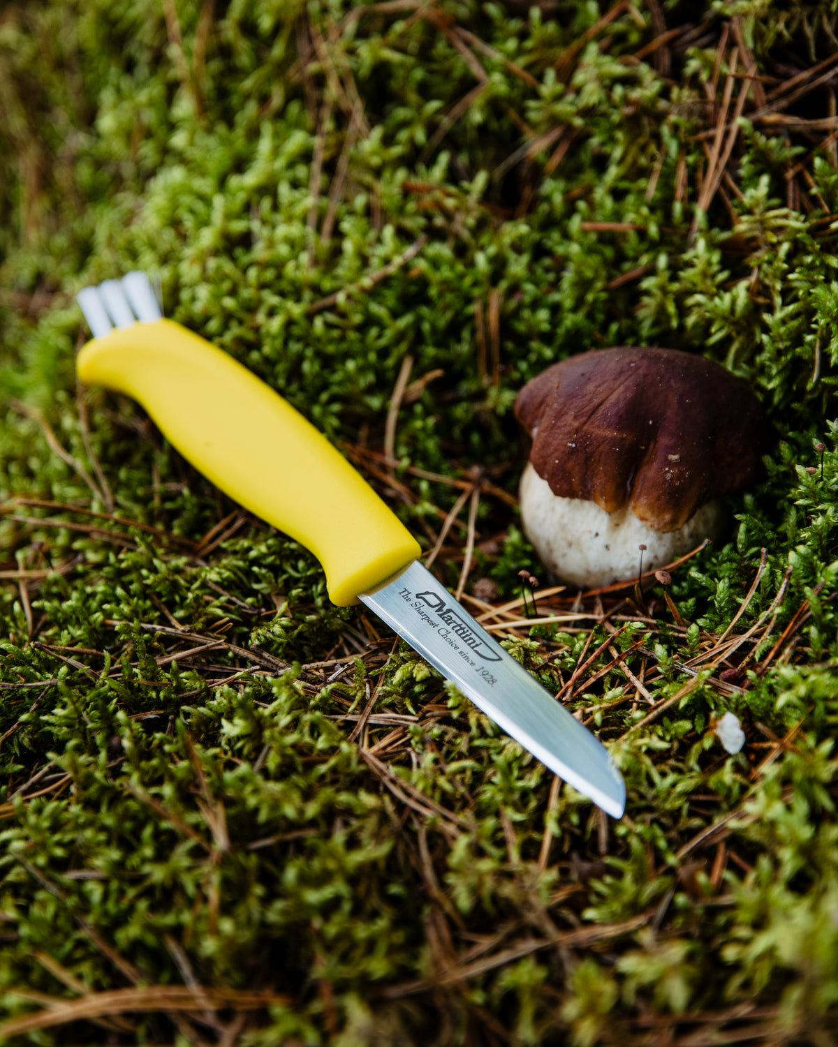 Mushroom Knife (neck sheath)