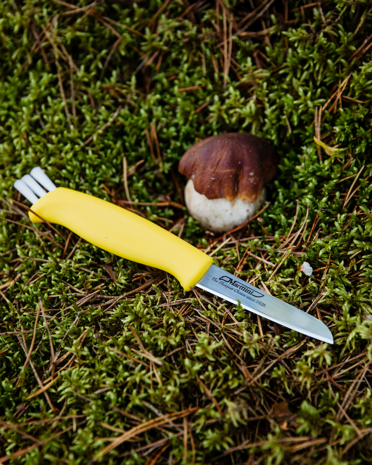 Mushroom Knife (neck sheath)