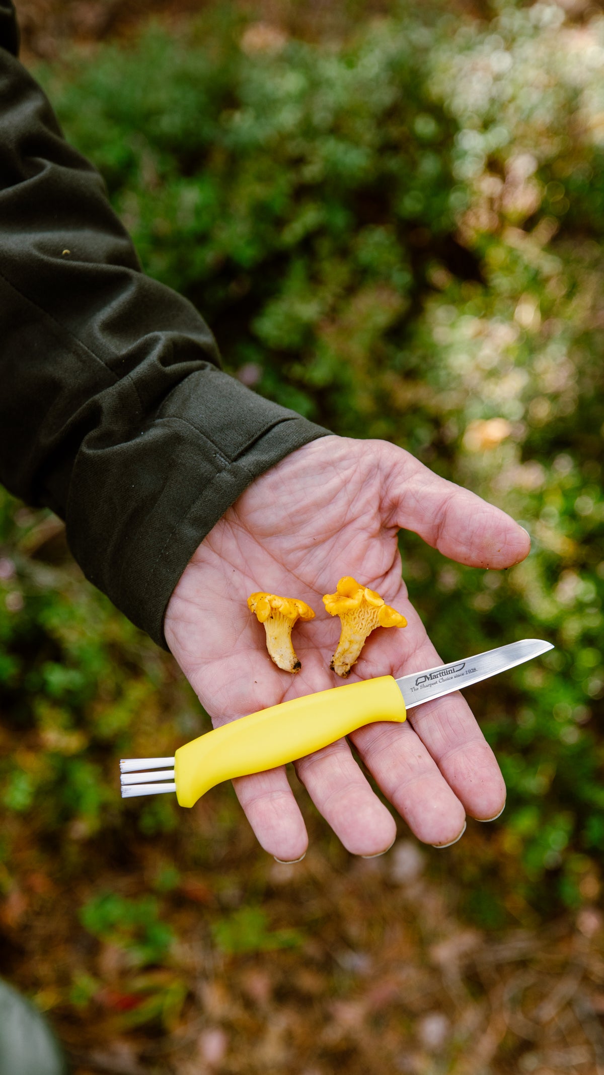 Mushroom Knife (neck sheath)