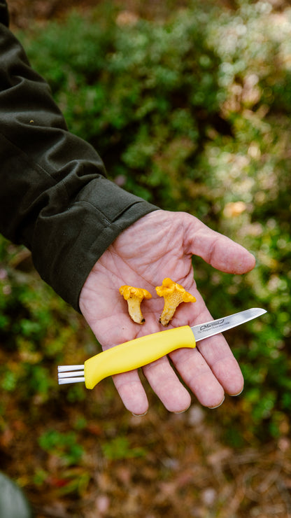 Mushroom Knife (neck sheath)