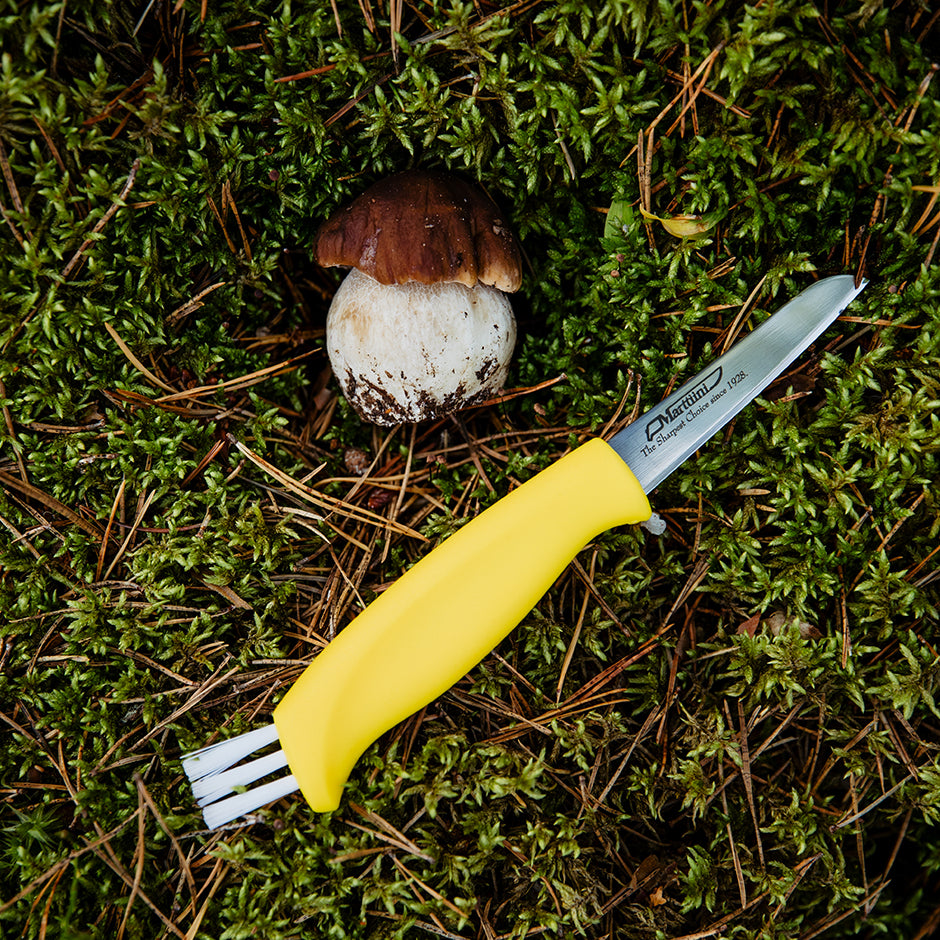Mushroom Knife (neck sheath)