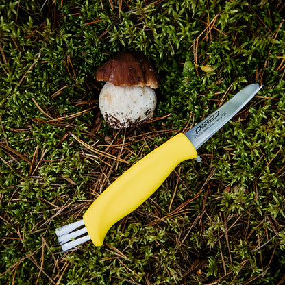 Mushroom Knife (neck sheath)