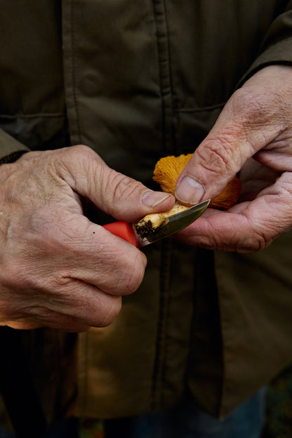 Mushroom Knife Ruska