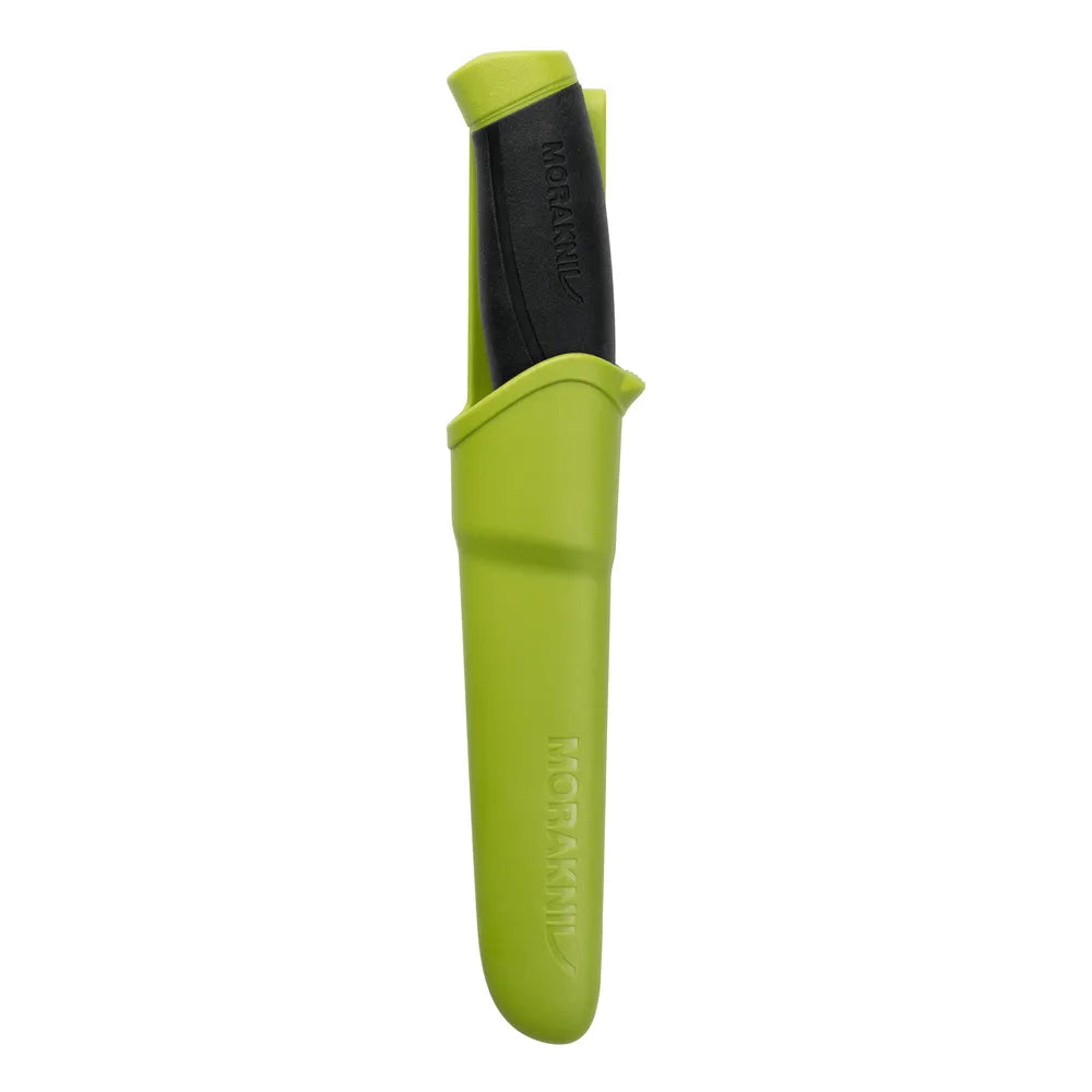 Companion : Olive Green