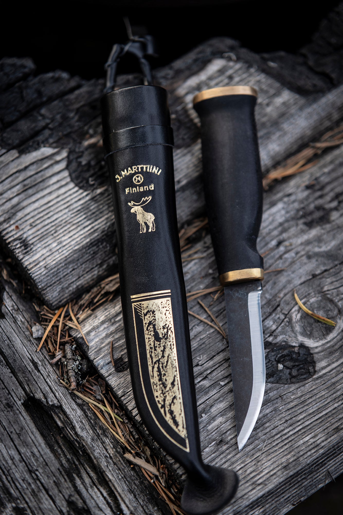 Moose Black