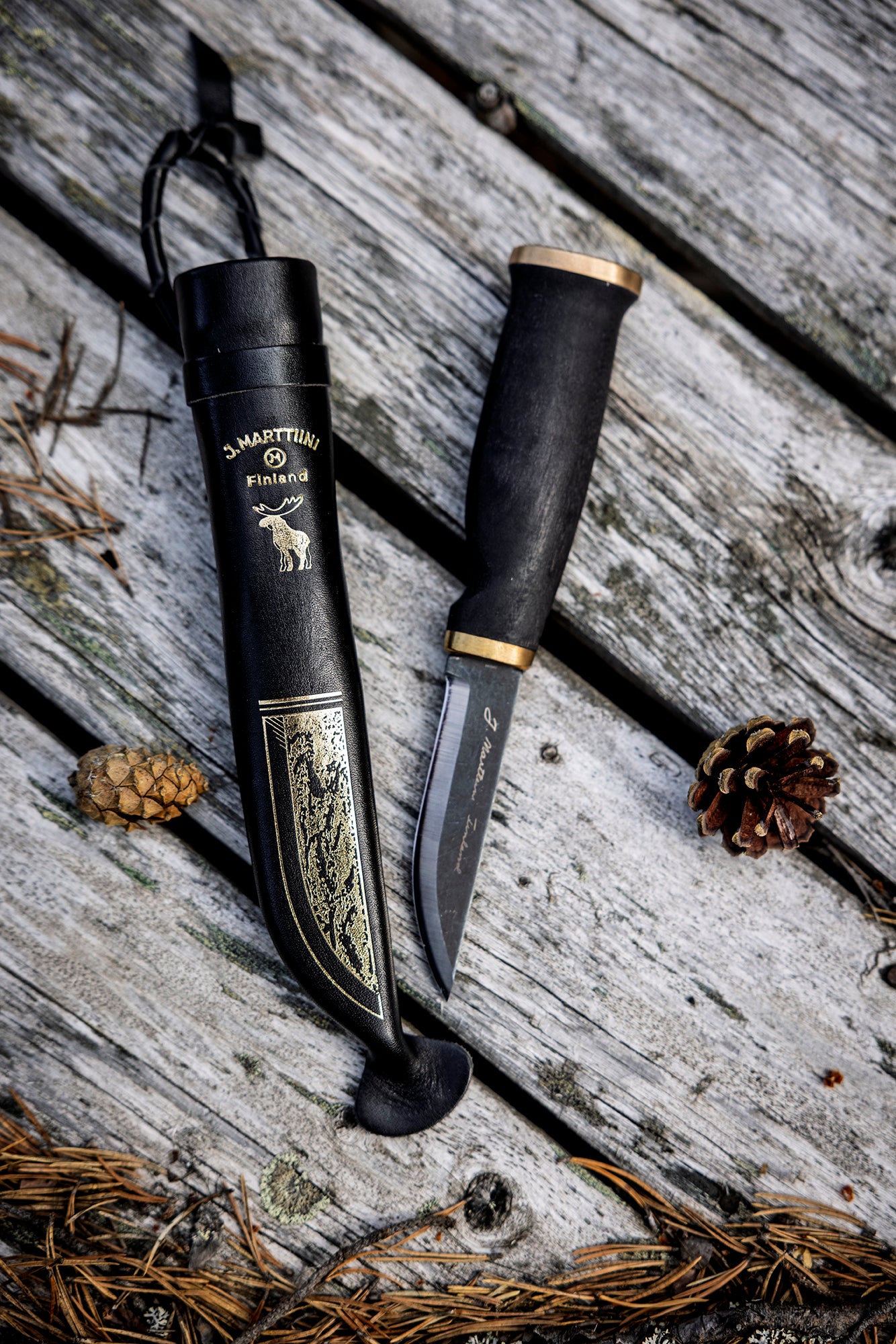 Moose Black