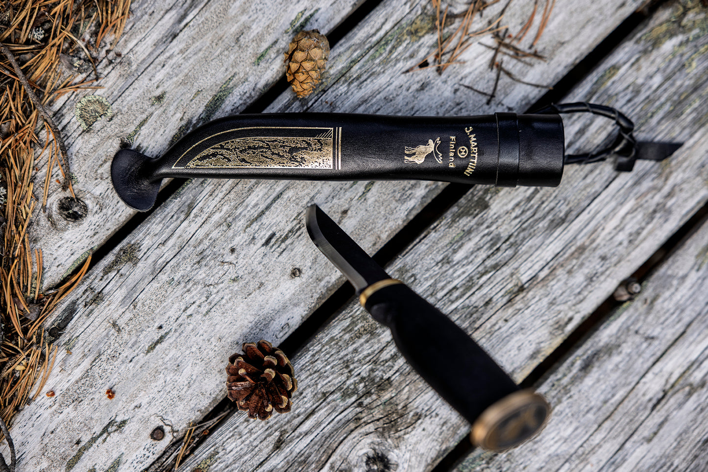 Moose Black