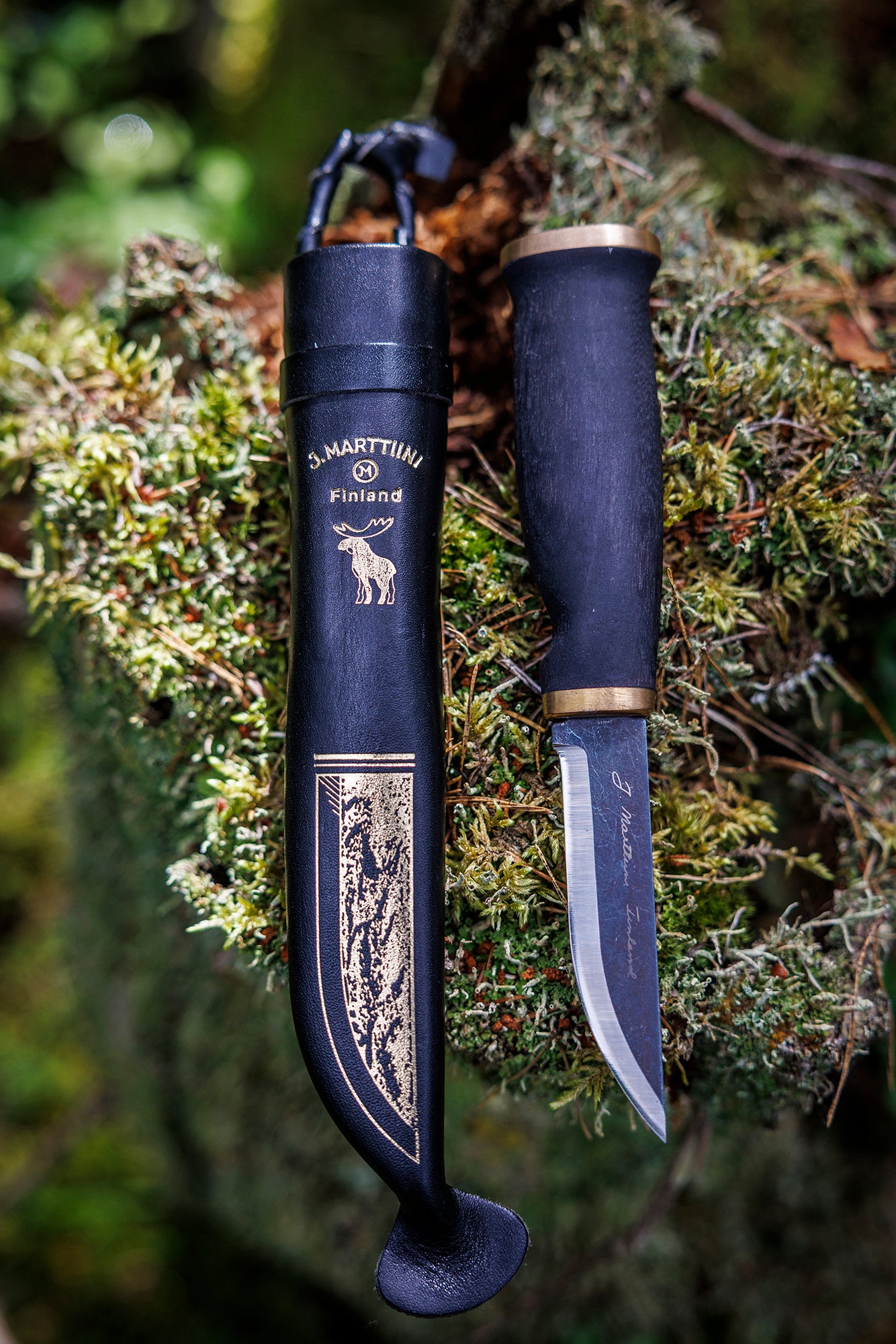 Moose Black