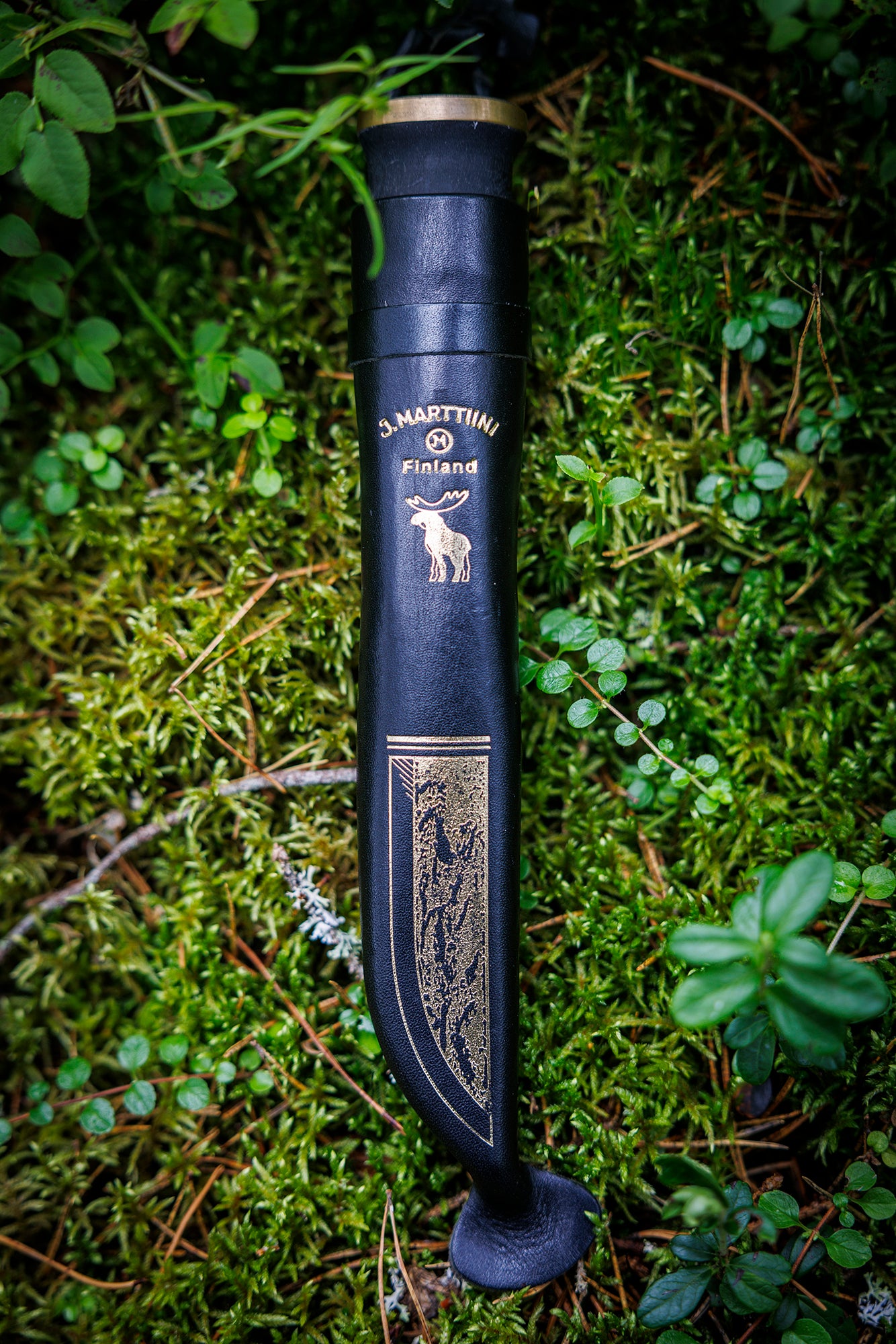 Moose Black