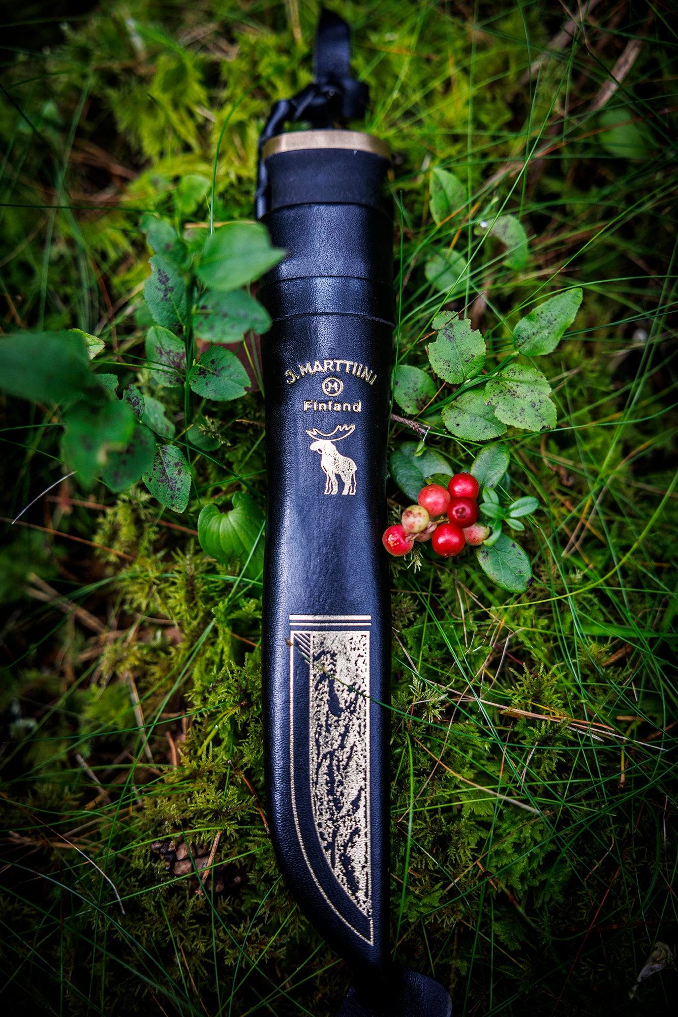 Moose Black